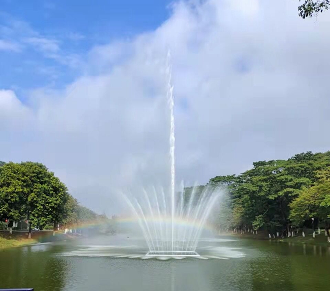 東莞植物園項目案例視頻